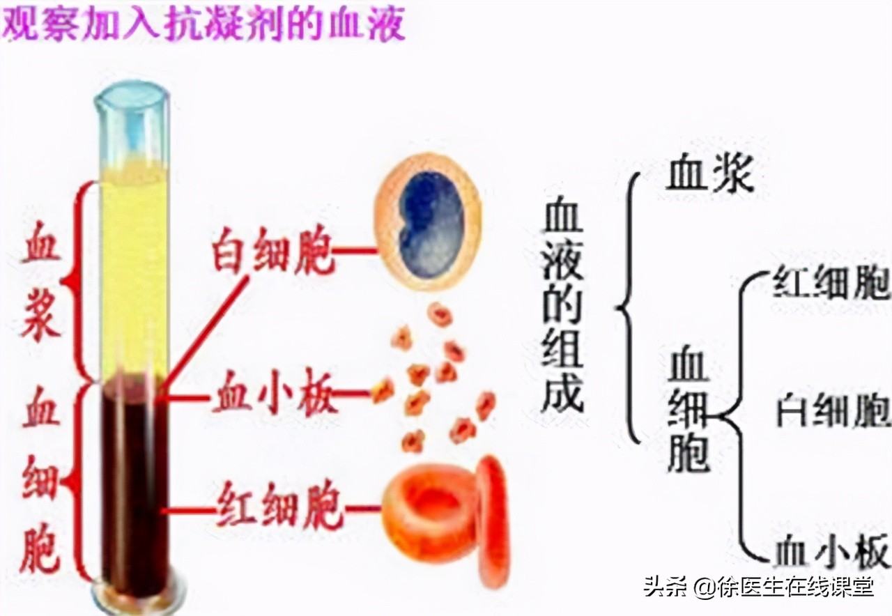 血常规能看出癌症转移吗,血常规能查出癌症骨转移吗