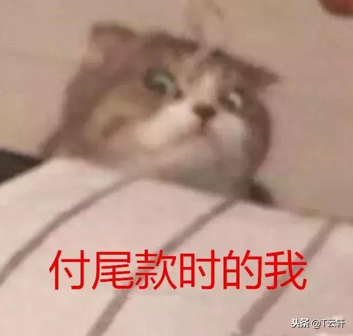 双十一破100亿京东2019,100分钟破千亿的纪录