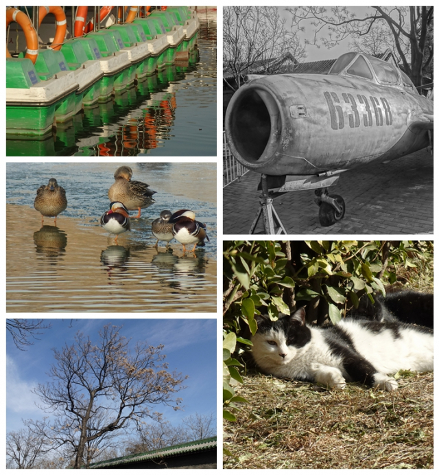 索尼hx99长焦测评,索尼口袋相机qx10