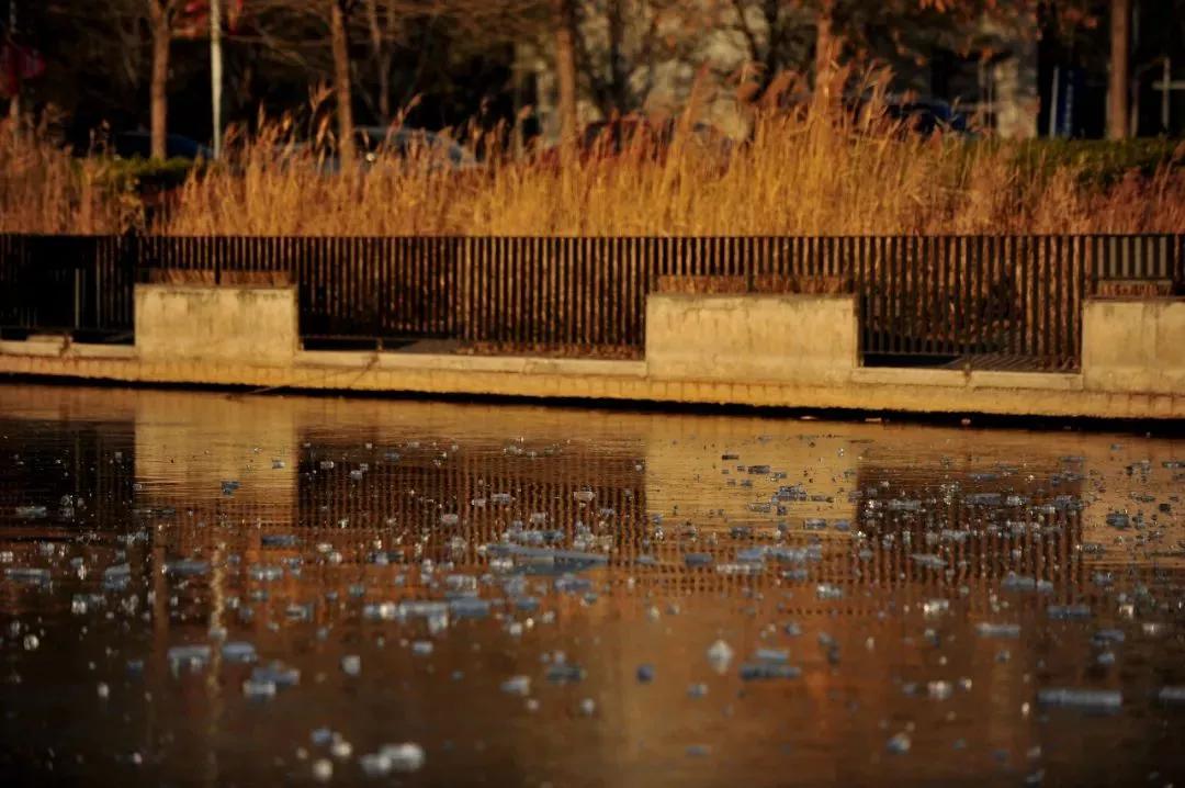 天津普通本科的大学,天津普通高校多少所大学