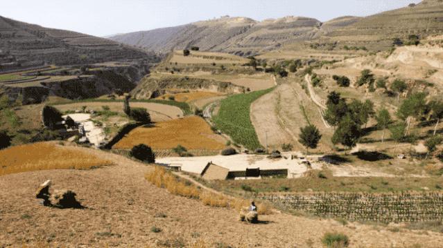 他跟5个西北爷们同吃同睡2年，记录黄河边的绝唱，口碑爆棚