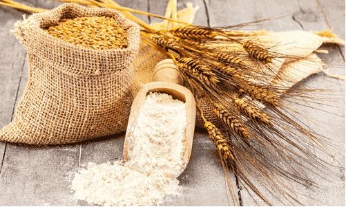 稻渔综合种养真实现状,稻渔综合种养培训通知