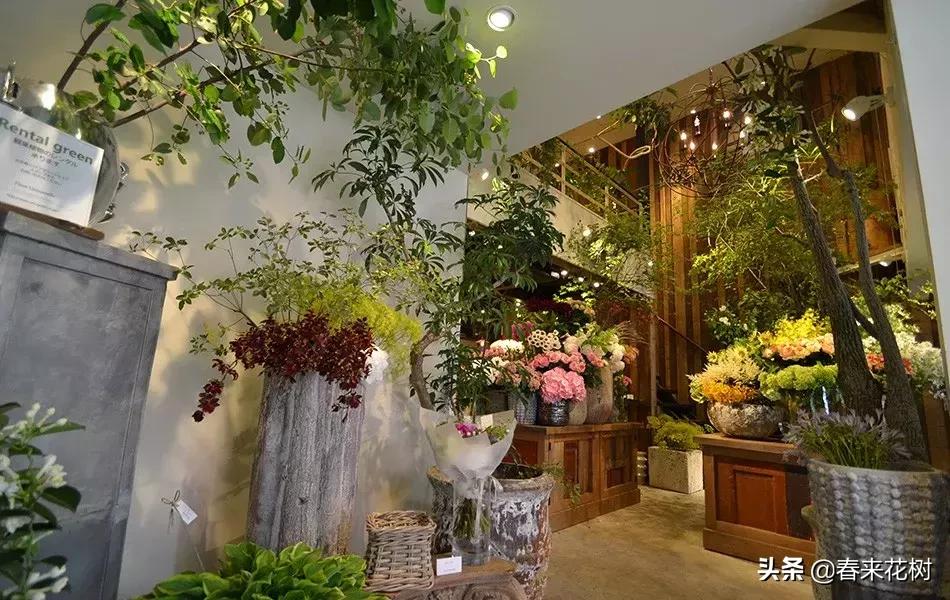 日本东京花店推荐,超美的花店