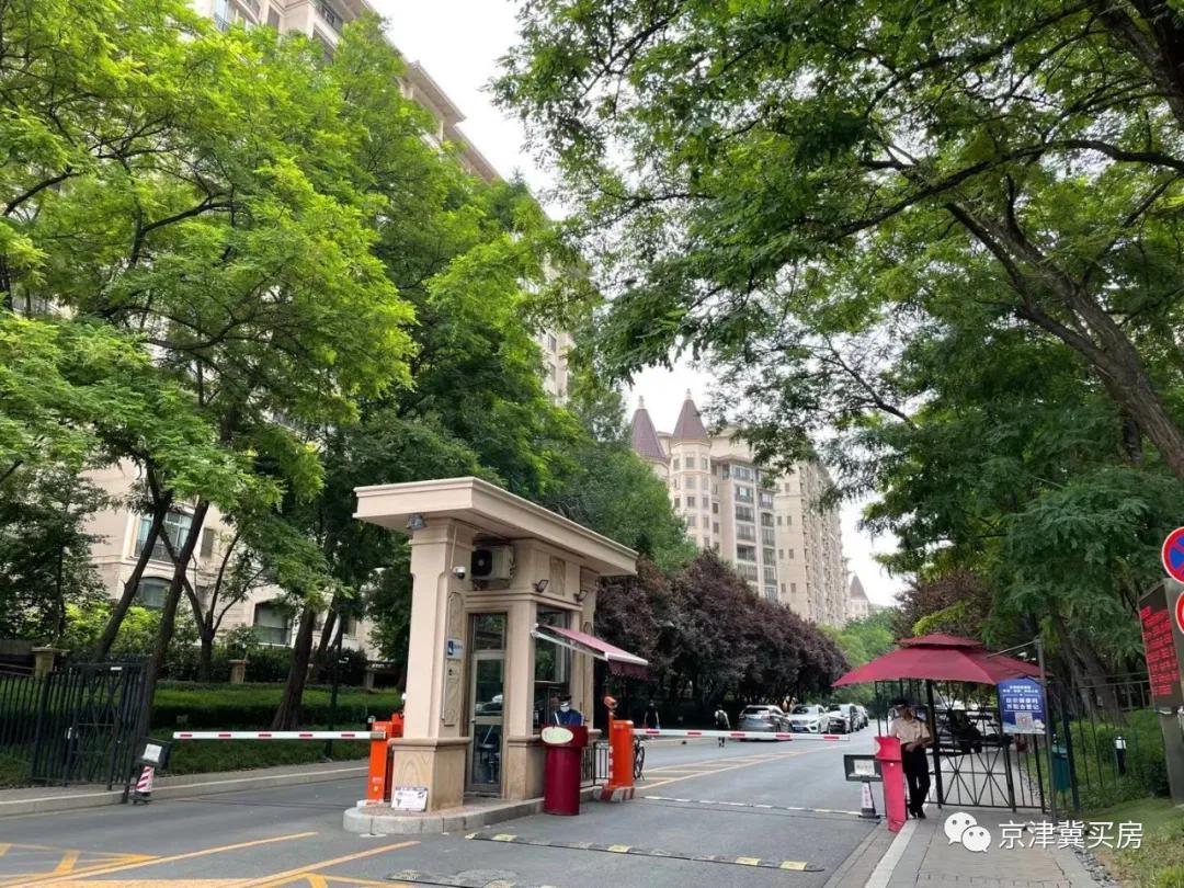 朝青2018年价格,朝青价格走势