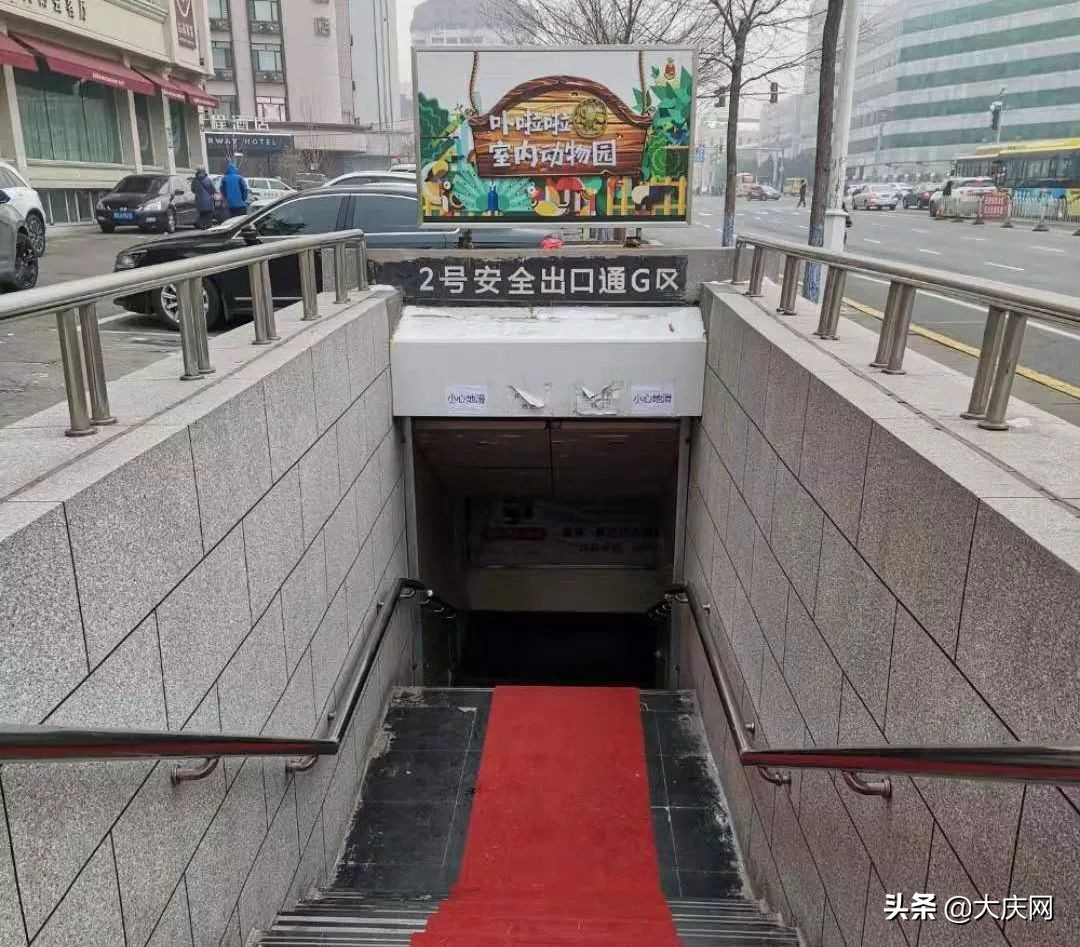 受伤，断趾，一股恶心味儿……哈尔滨竟存在这样一个动物园，看完扎心了