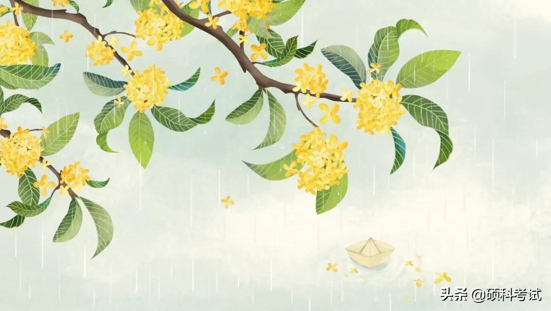 描写花的古诗句300句,关于花的古诗词和名言