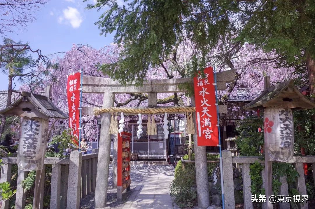 我在京都，攒下一整个春日的绝美樱色送给你。