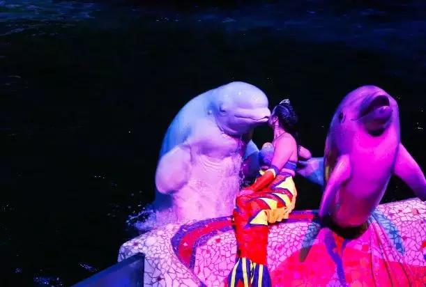 辽宁省有个小城市,辽宁最有魅力的小城