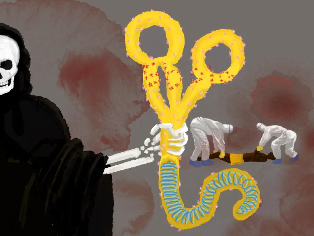 生命的故事绘本电子版,生命的故事图片