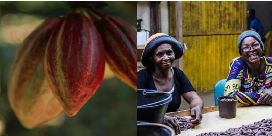 PM比利时进口巧克力,德国pm巧克力