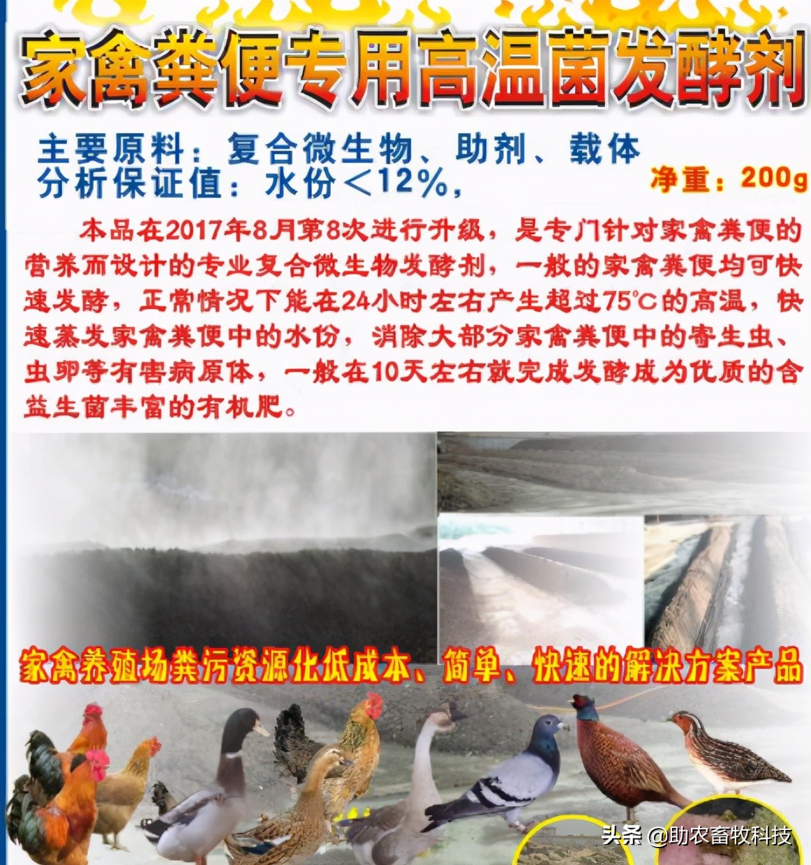 鸡粪有机肥除臭最有效的方法,鸡粪怎么发酵做养花肥料