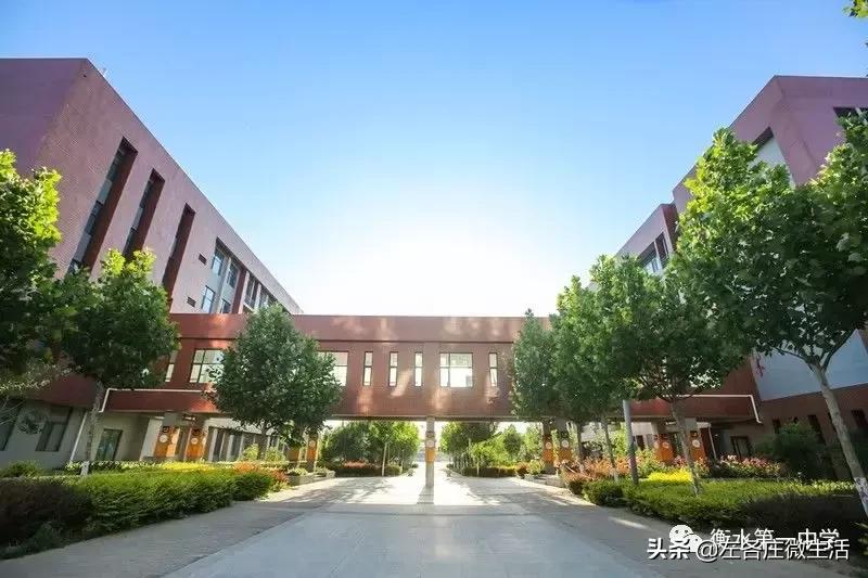 越努力越幸运河北,越努力越幸运高中