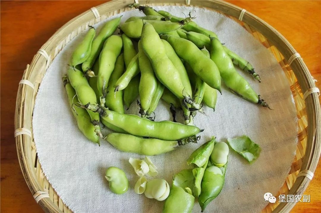 豆类干货蚕豆,浅谈五谷杂粮