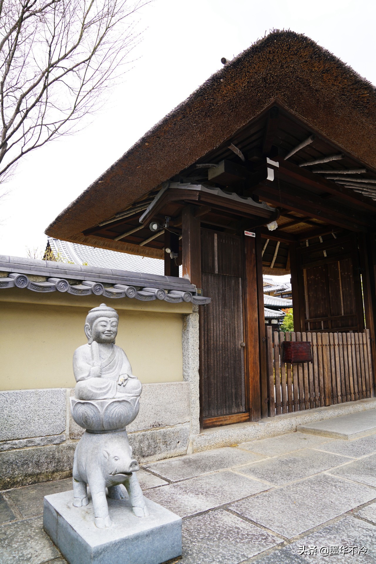 京都一眼千年的美景,京都永恒的美