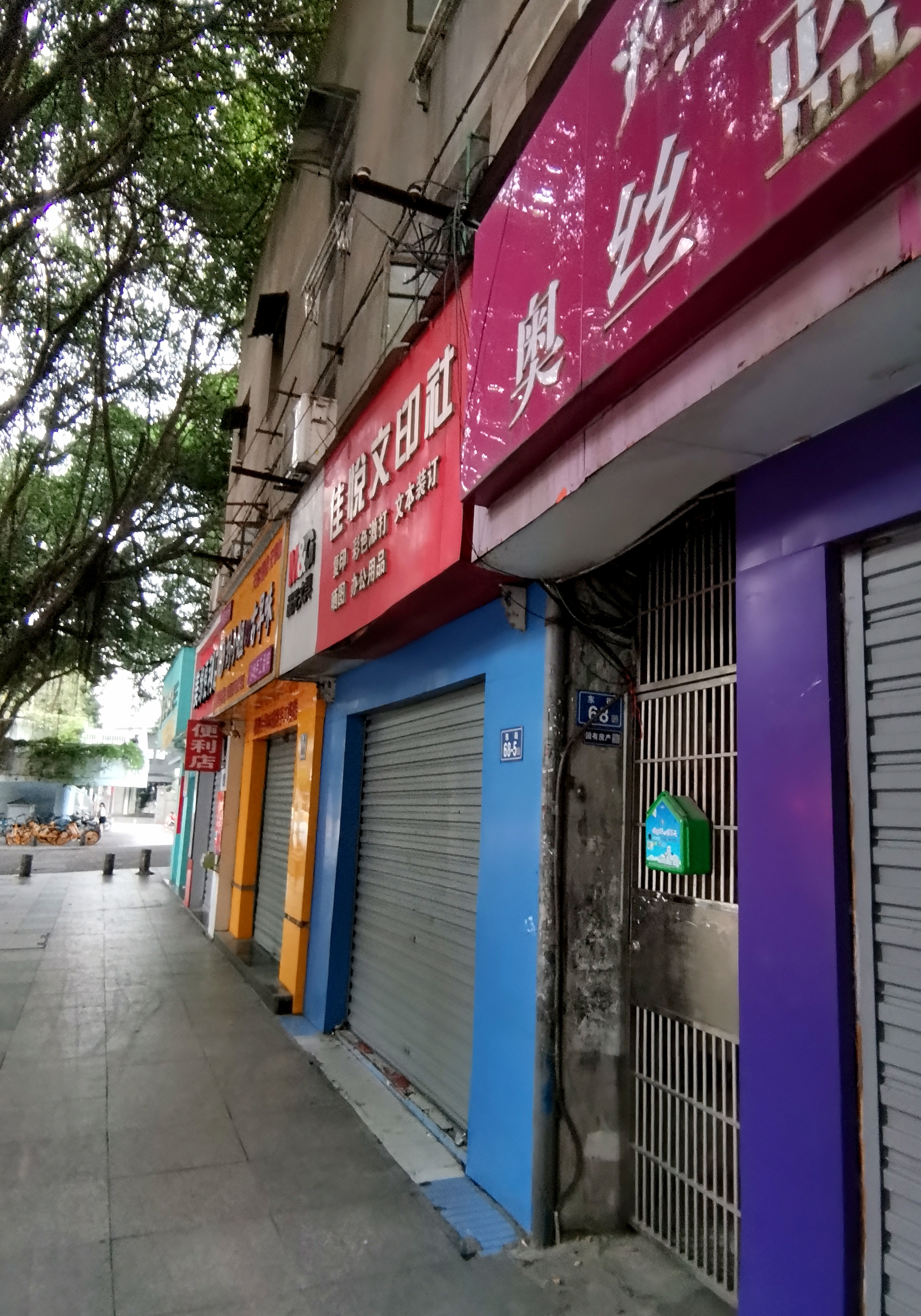 福建情结,福建人的家族情结