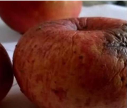 淘宝永久封号限制登录,淘宝被永久封号了怎么解除