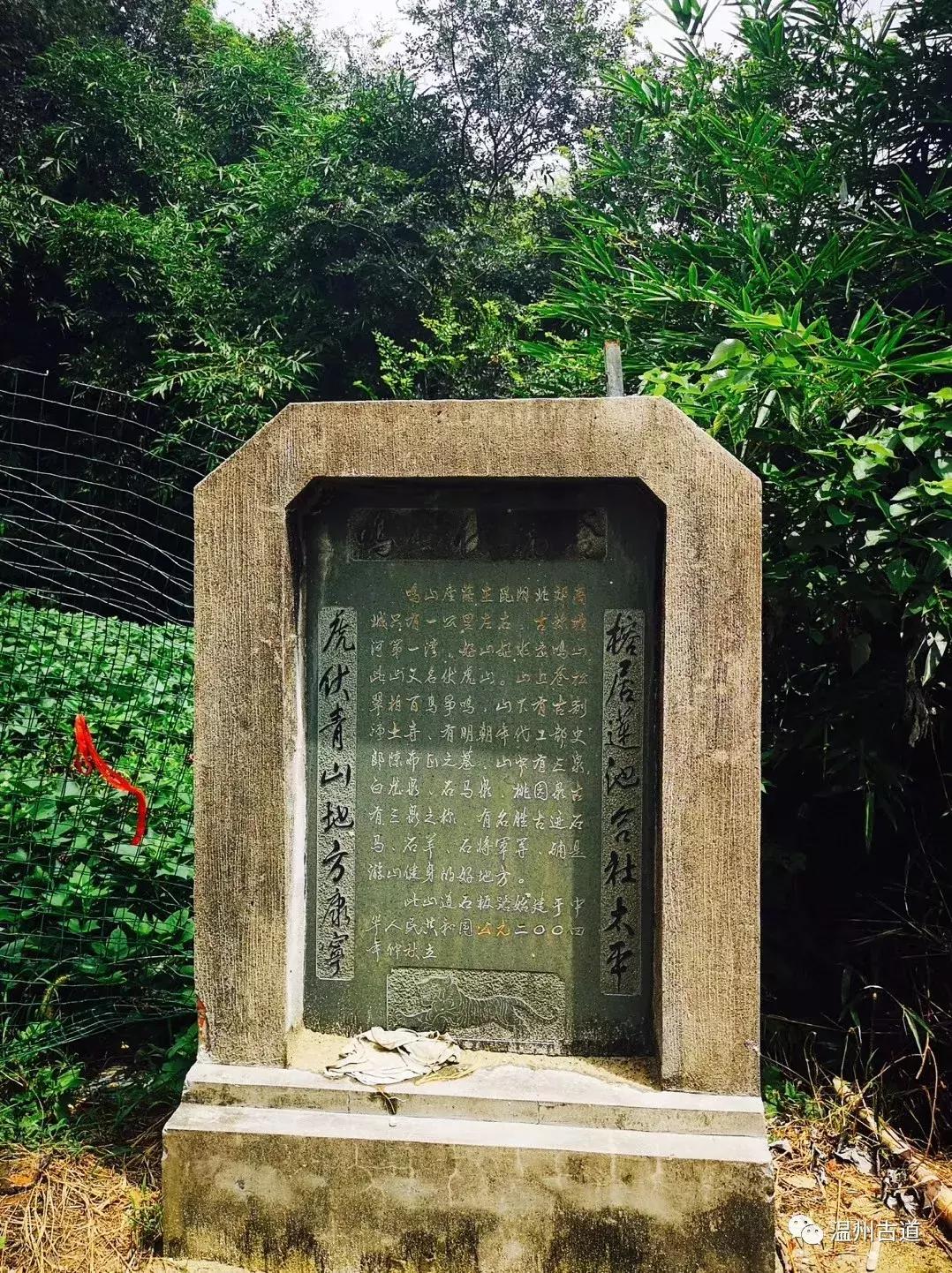 平阳鸣山古村落图片,千年古村平阳县鸣山村古城夜景