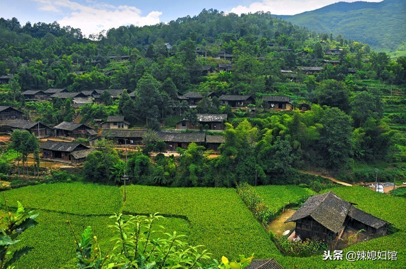 土家苗族自治州有什么特色,土家族和少数民族有什么区别