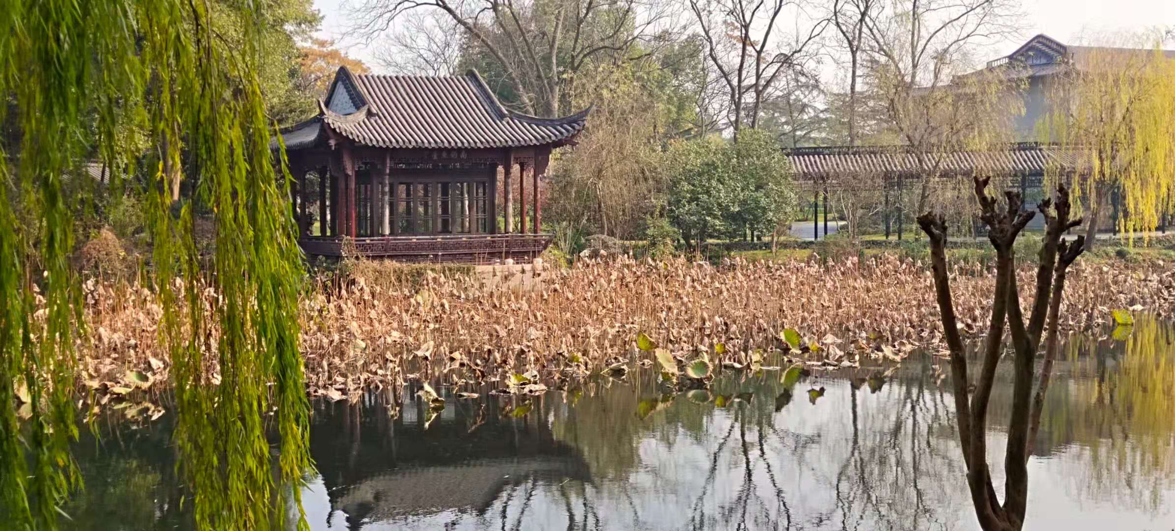 西湖国宾馆周边美景,西湖国宾馆风景