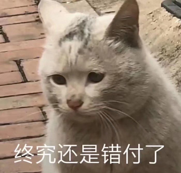 「对家•娘子」两脚兽观察实录