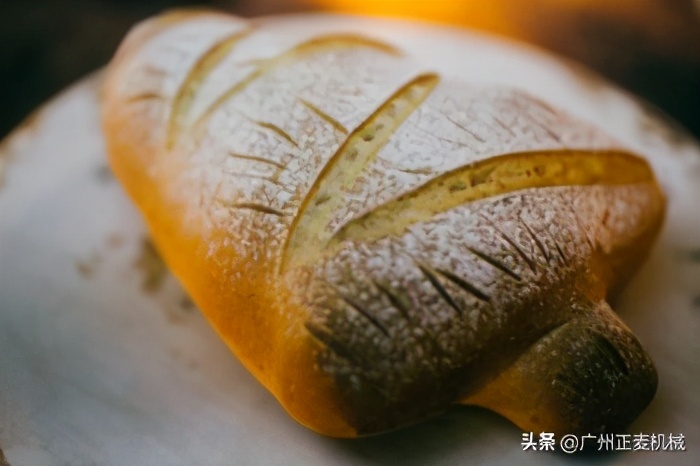 圣诞树面包波兰种,光波炉烤全麦面包多长时间