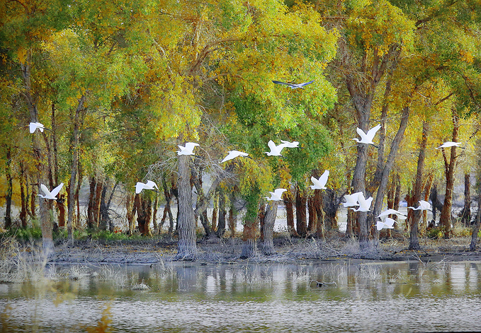 西行之路地图,神秘的西域旅行