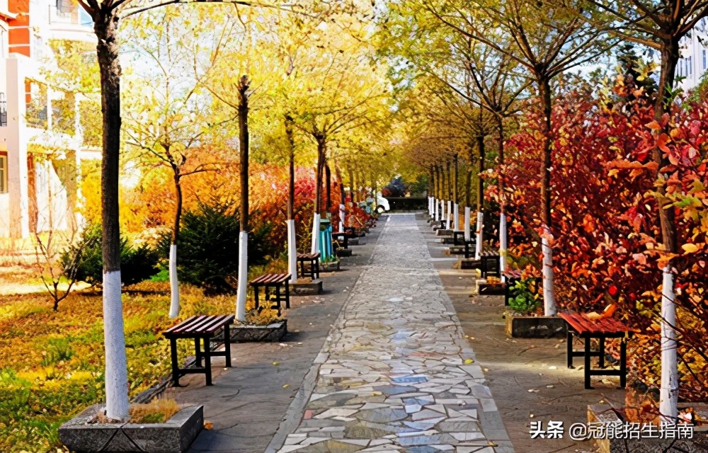 成都有哪些职业技校比较好,成都职业技校学什么好