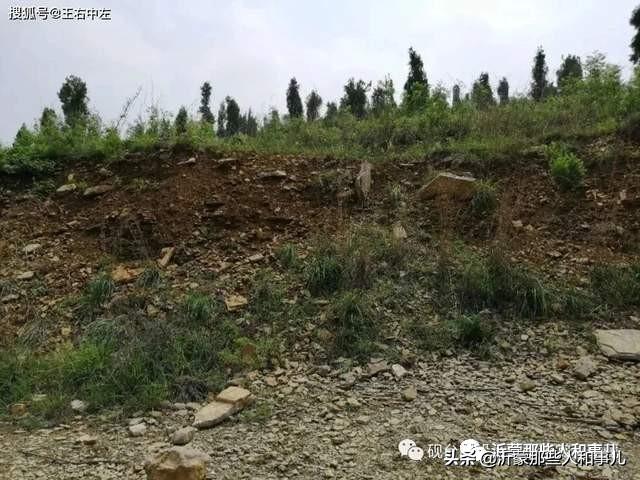 琅琊紫金砚米芾,米芾紫金砚从哪里来