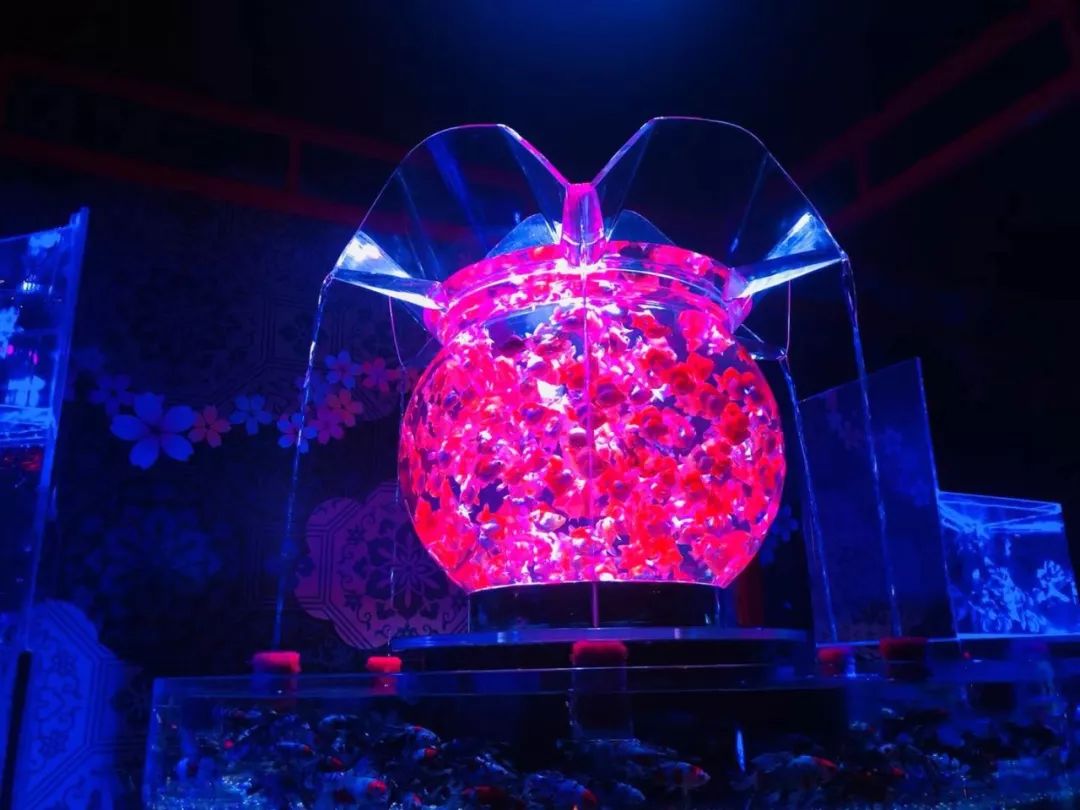 日本网红打卡艺术展,日本十大网红展