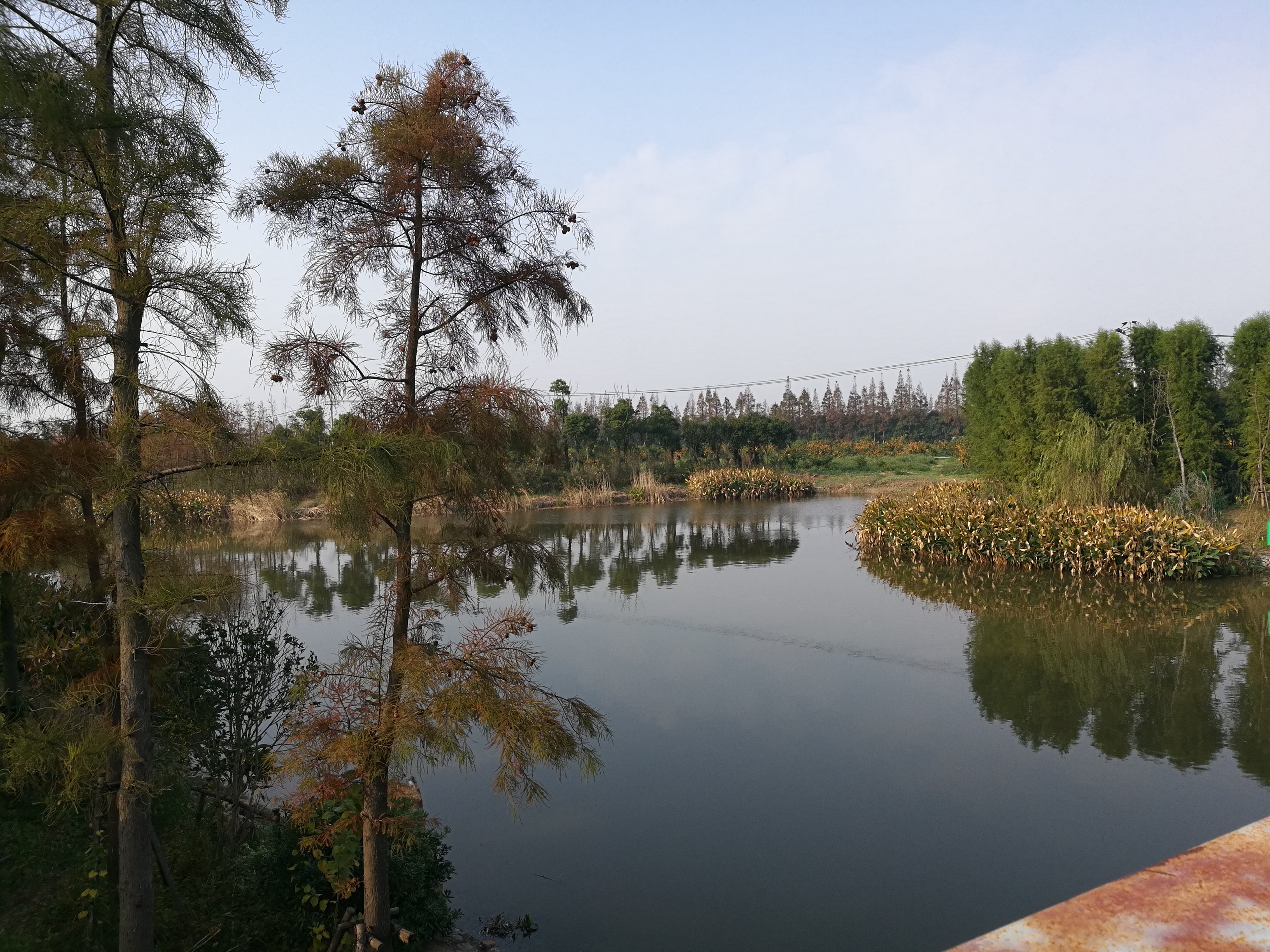 上海长兴岛郊野公园可以看见海吗,长兴岛郊野公园离上海站有几公里