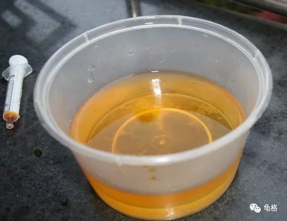 乌龟腐皮怎么用聚维酮碘药浴,聚维酮碘治疗乌龟腐皮需要泡多久