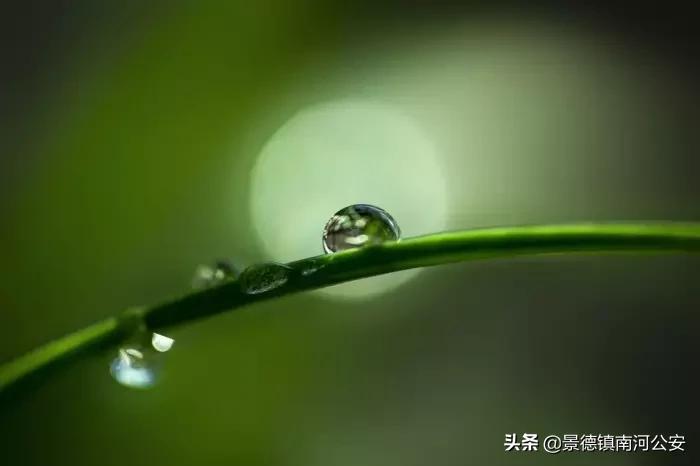 最美的五言绝句短到极致美到心碎,50句意境绝美诗词