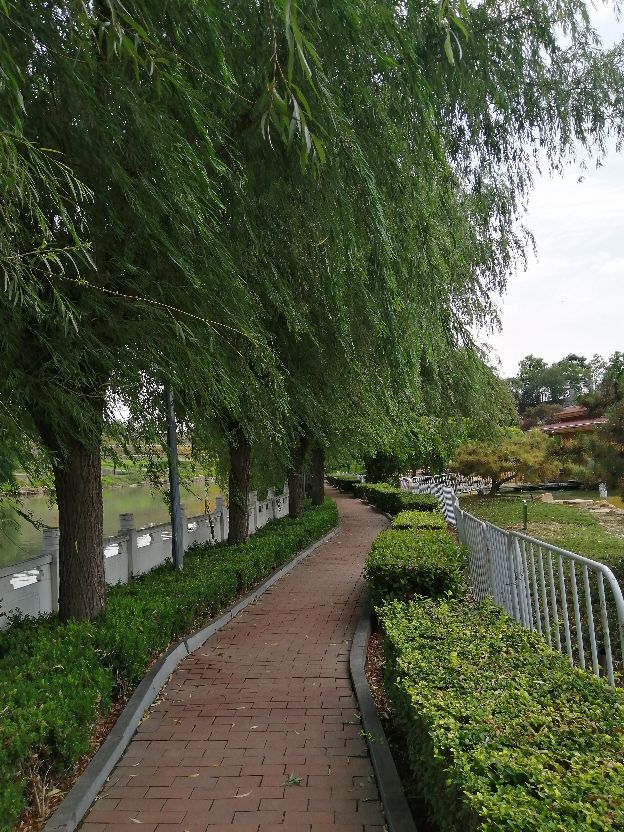 出门在外没有电怎么办,出门没现金怎么办