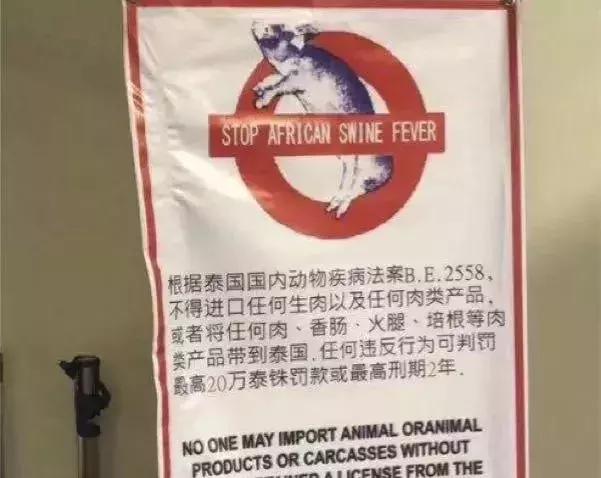 女子过海关被捕,女子过海关被处决