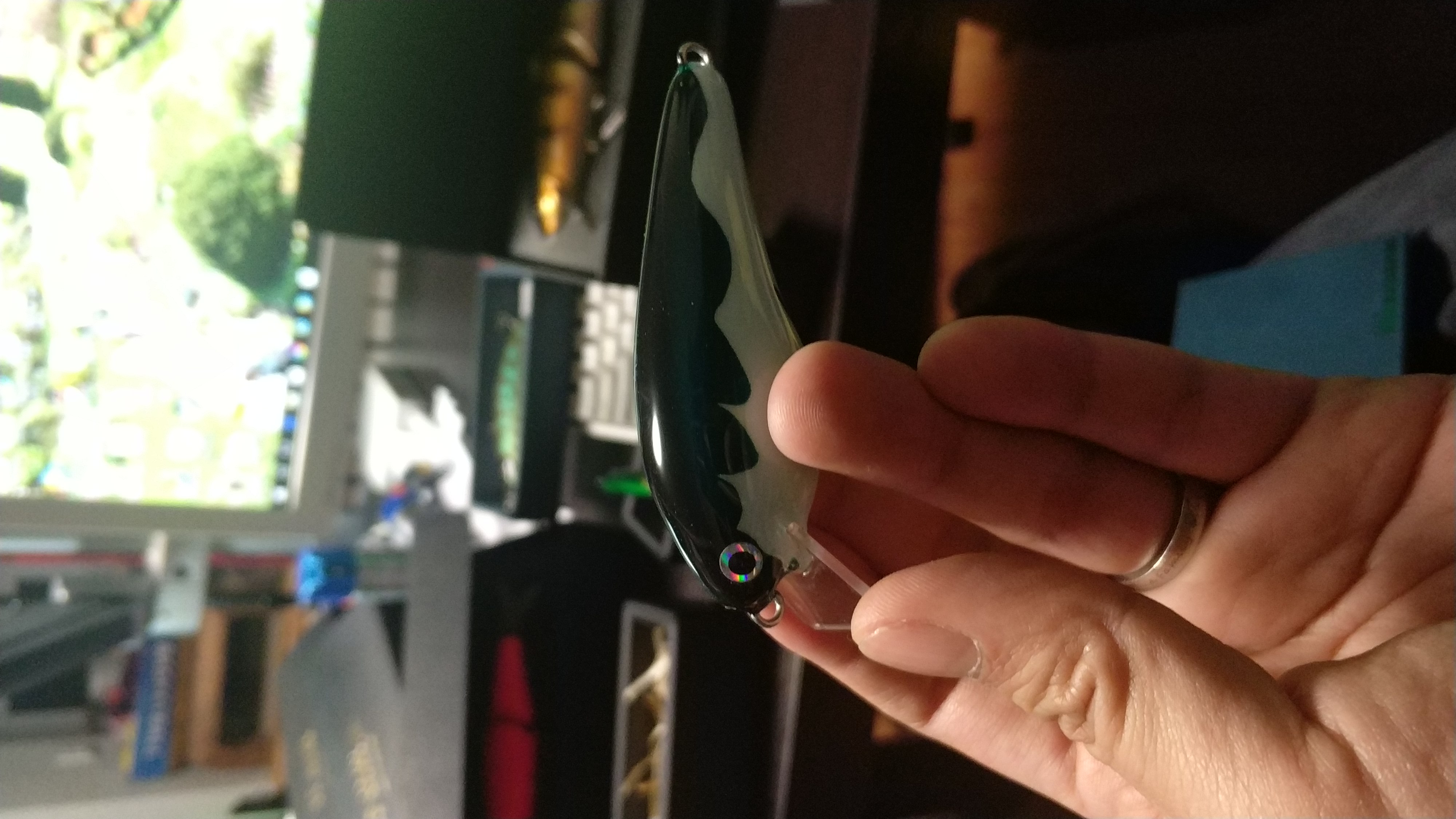 路亚入坑视频,路亚新手入坑