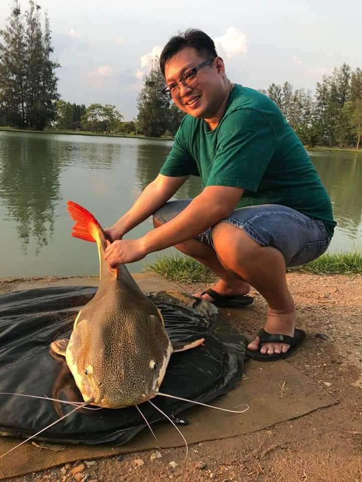 红尾鲶厉害吗,李大毛钓红尾鲶