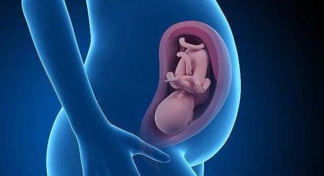 你们知道开十指是怎么开的吗？