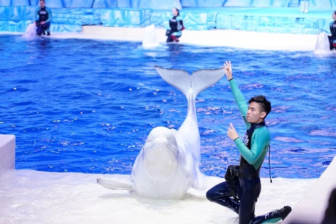 珠海高铁站到长隆海洋王国,珠海长隆海洋王国海底世界