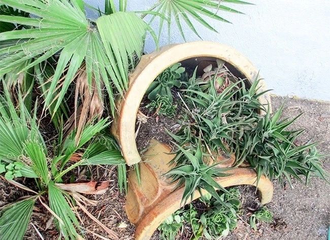 新买的花盆如何改造盆栽,破碎的花盆怎么养花