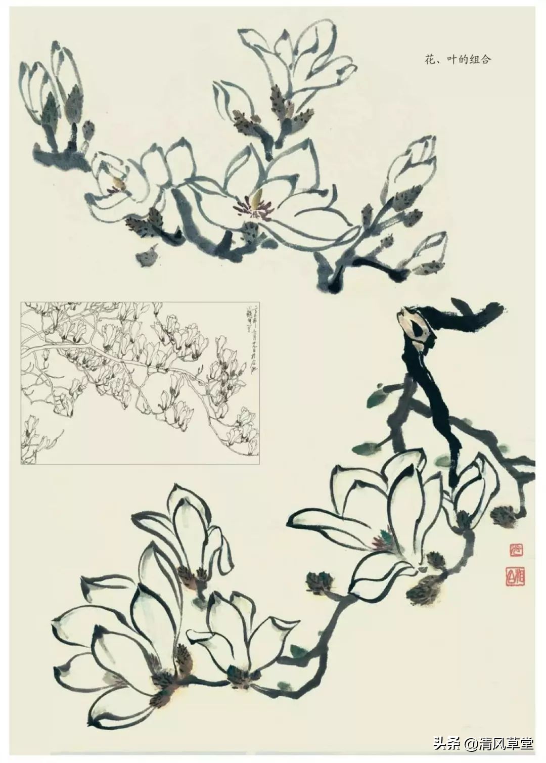 少儿国画花卉画法视频,各种花卉的100种画法