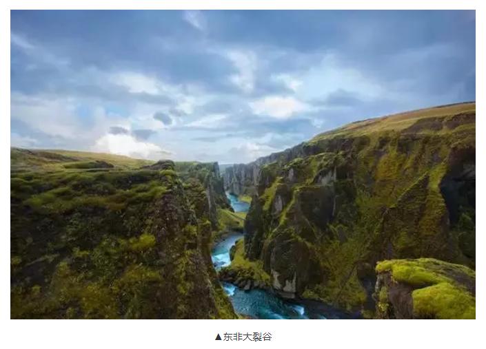 肯尼亚红茶全是粉末吗,肯尼亚红茶有哪些