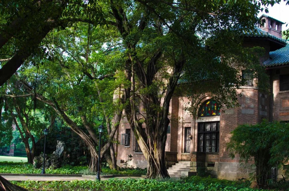 广州小众自驾,广州10个必去打卡的地方