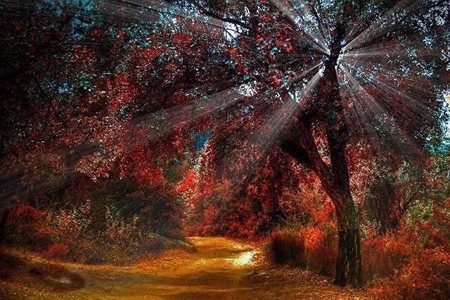 如何调整光圈的大小,如何调好光圈