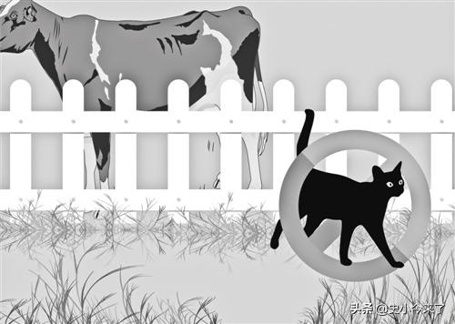 冈比亚为什么被称为第一强国,全球第一强国冈比亚