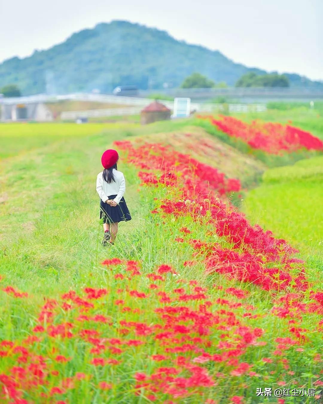 沈阳中学生情侣开房事件背后的警醒：我们该如何教育孩子