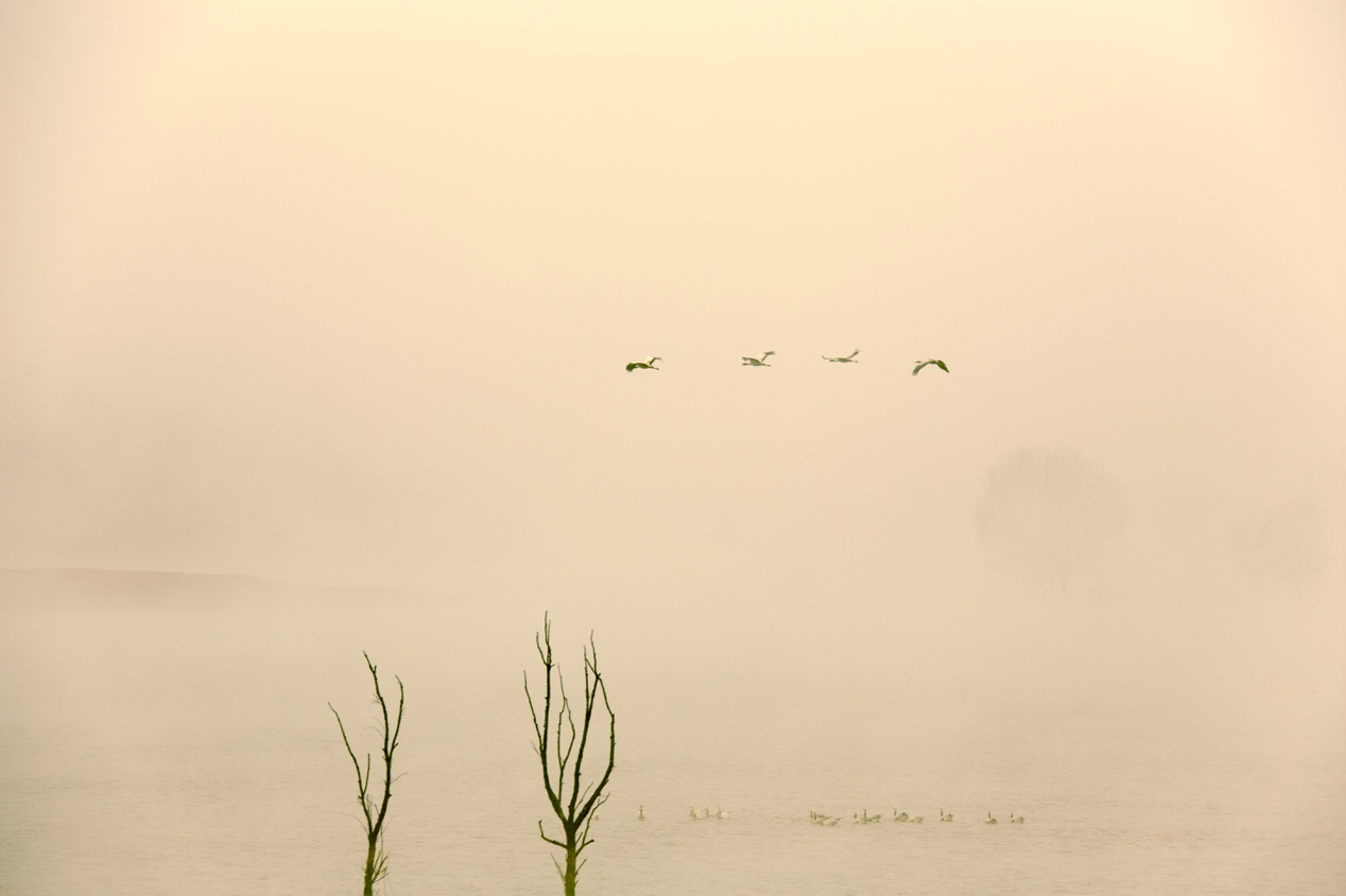 生态摄影师相机,生态摄影著名摄影家