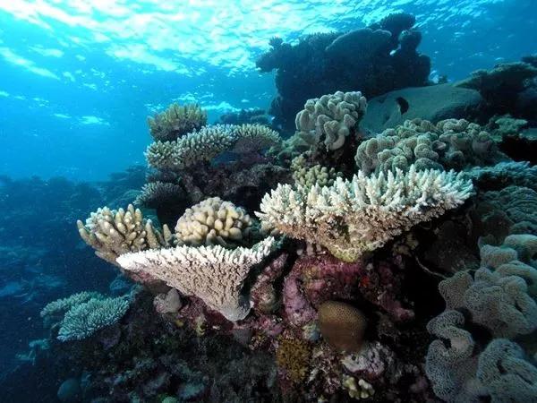 去了三亚不跟团,去了三亚不看海