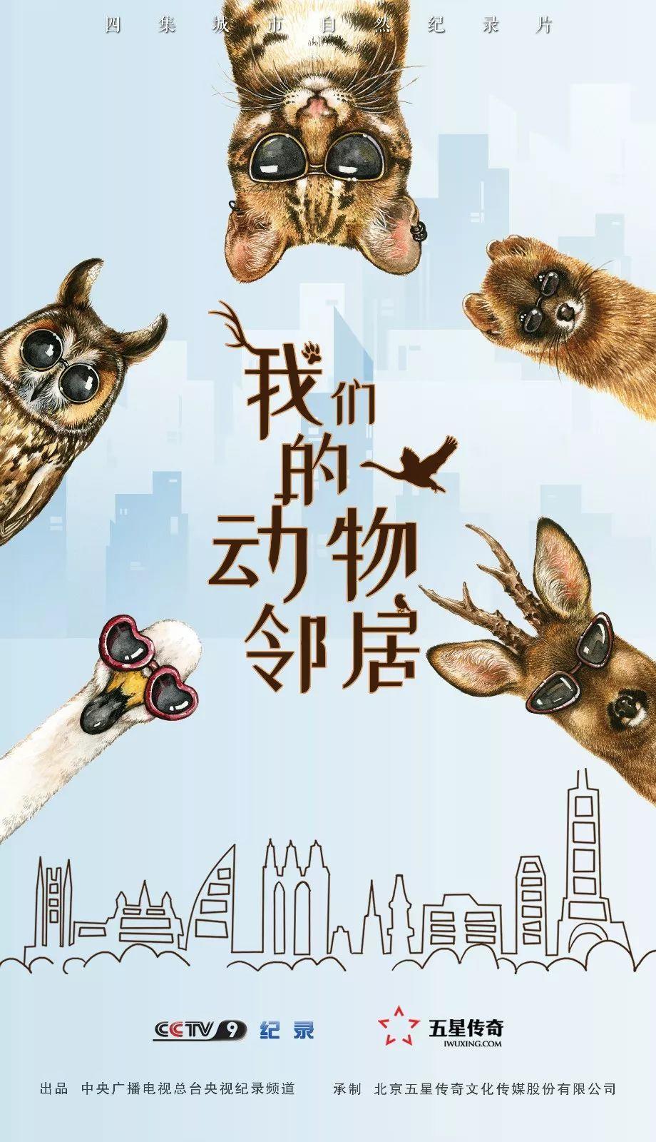 央视拍这种片怎么就没「流量」