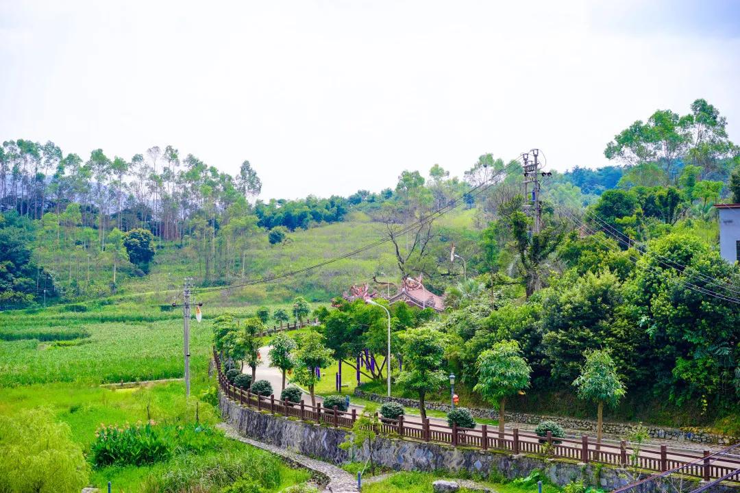 厦门特色旅游小镇,厦门两镇上榜省全域生态旅游小镇