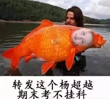 学会这一招你也能自带锦鲤体质，一分钱不花玩翻三亚！